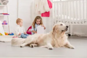 resources-image happy dog at home